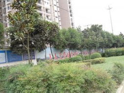 成都住宅別墅,聯體別墅二手房出售信息 城市房產