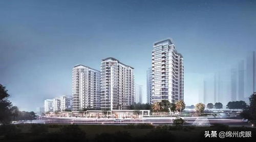 這座豪宅,在這個百強(qiáng)房企系統(tǒng)里,全國只有兩座,一座落址園藝山