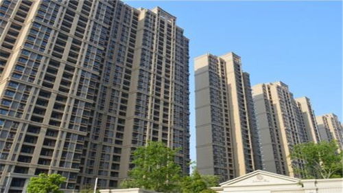 2019年5月金融統(tǒng)計(jì)數(shù)據(jù)報(bào)告